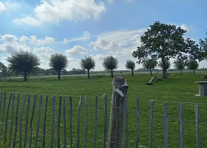 Pipowagen Boerderij De Schans