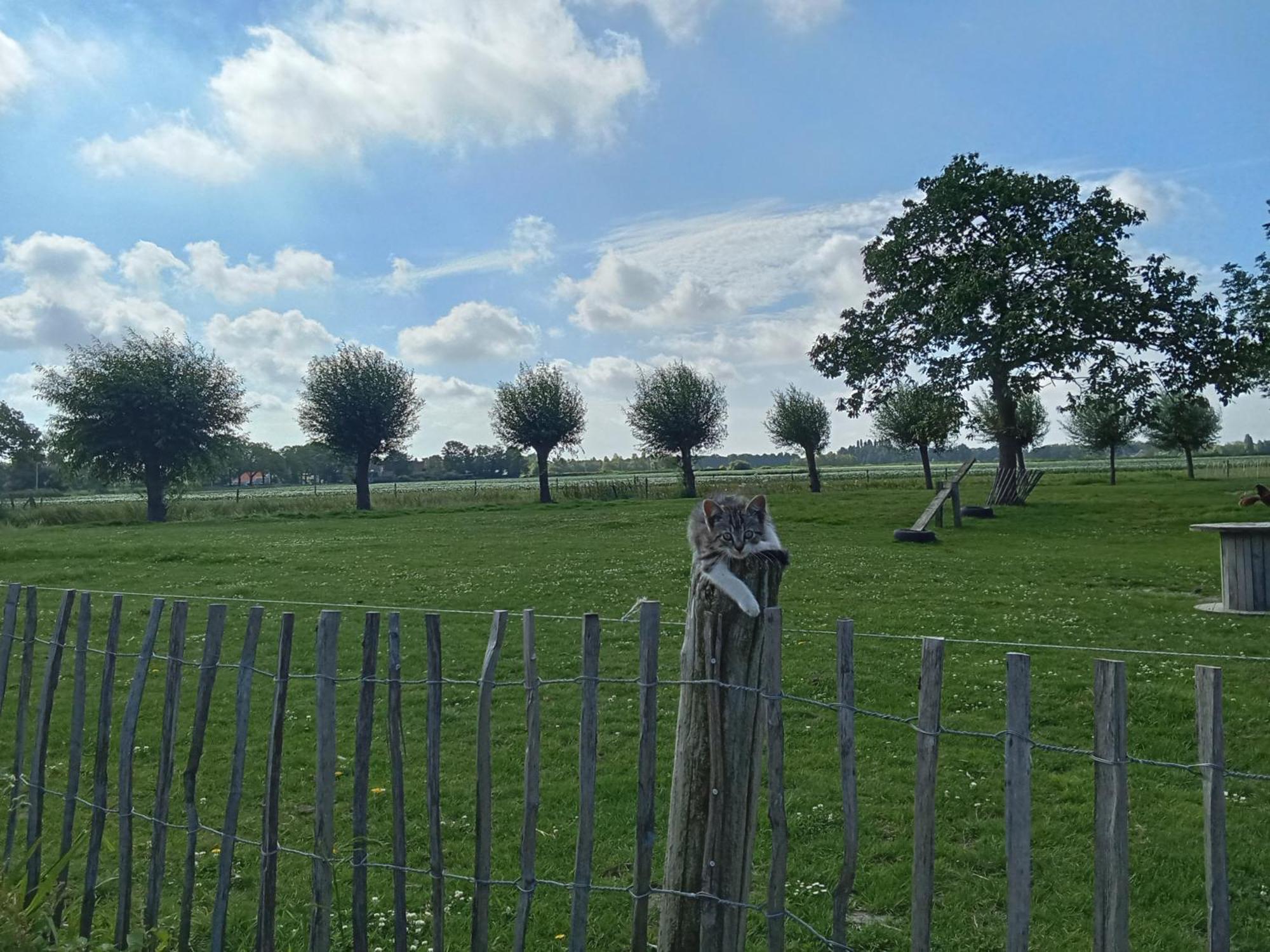 Pipowagen Boerderij De Schans Camping Klundert