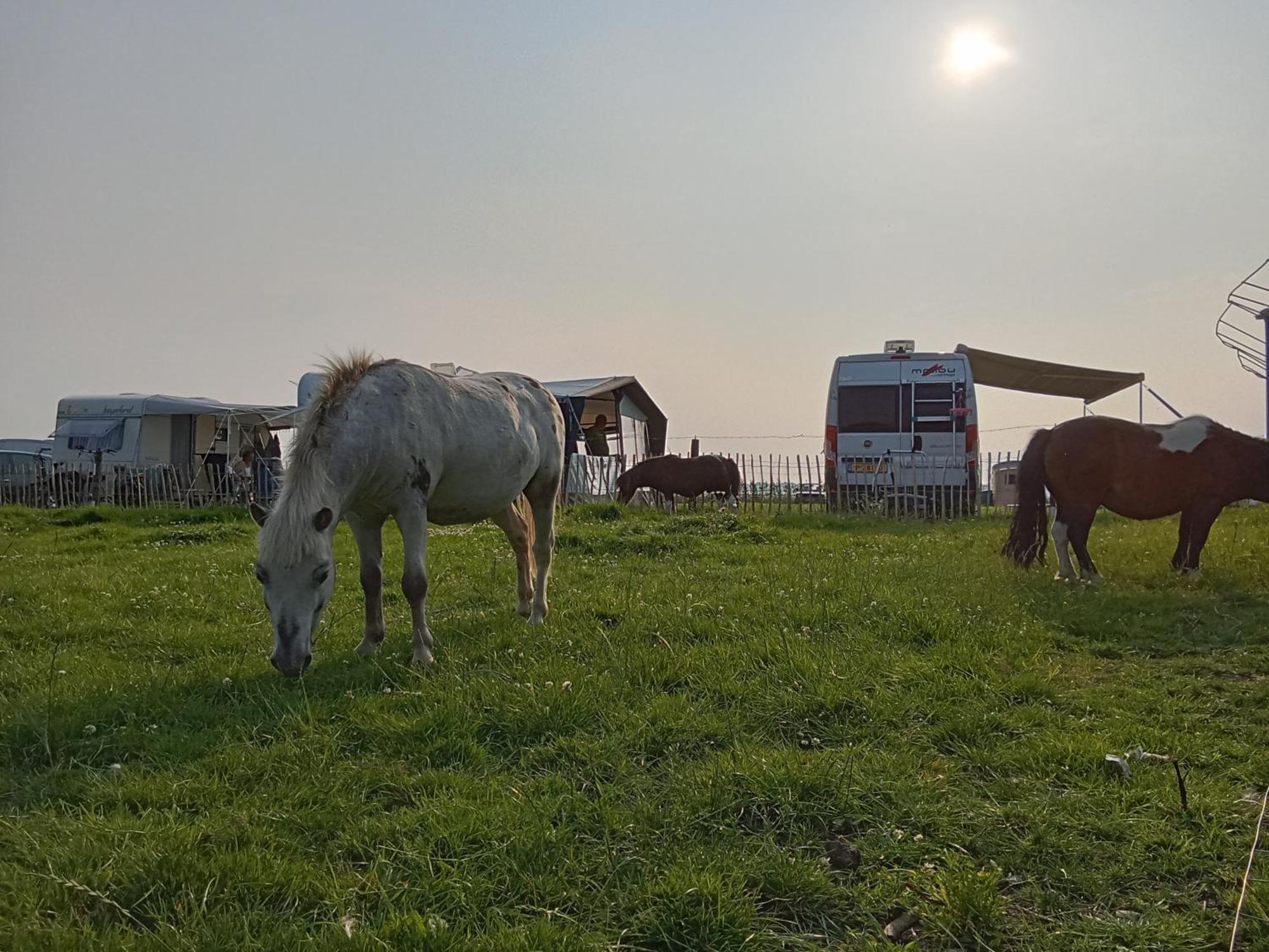 Pipowagen Boerderij De Schans * Klundert
